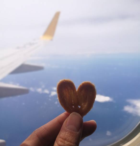 Can You Take Snacks Through Airport Security