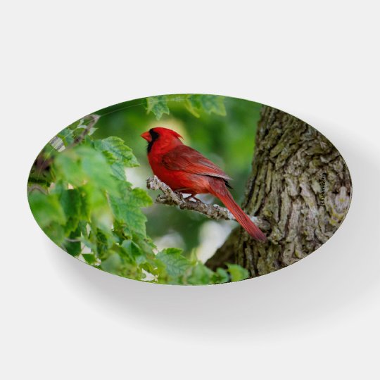 Cardinal Sweet Remembrance Paperweight