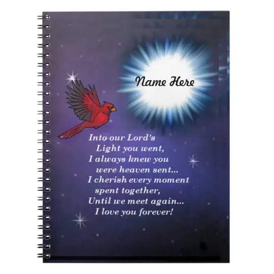 Into The Light Cardinal Notebook