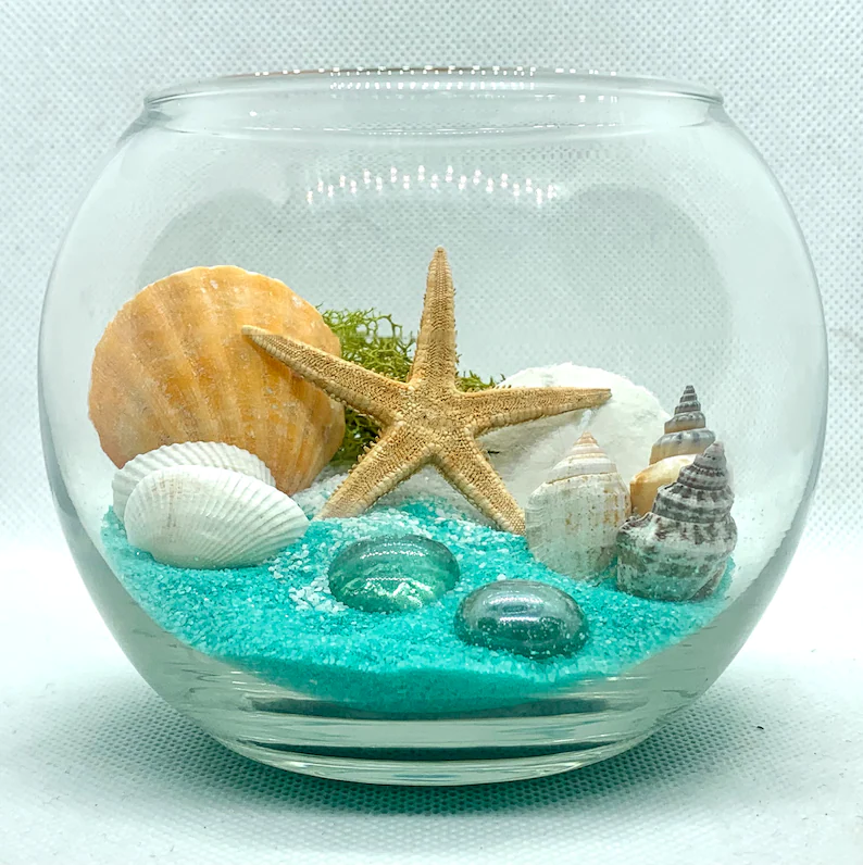 Ocean Terrarium