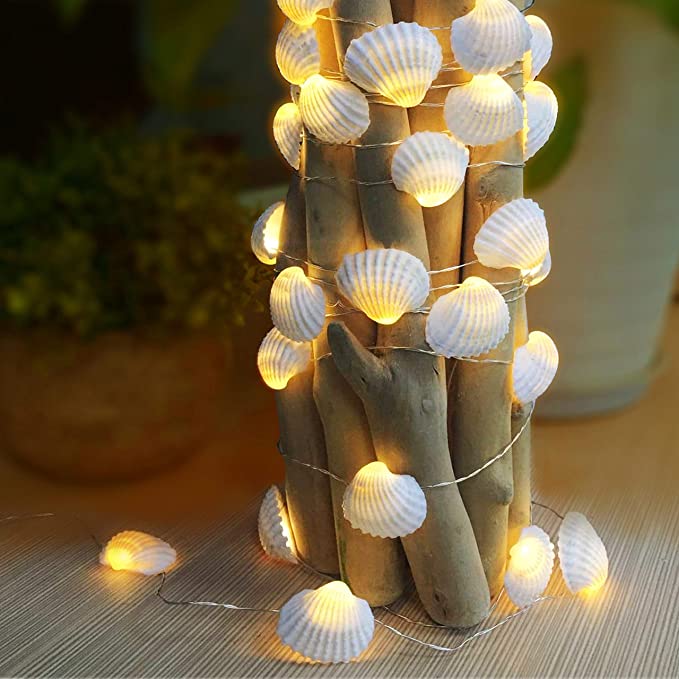 Seashell Lights